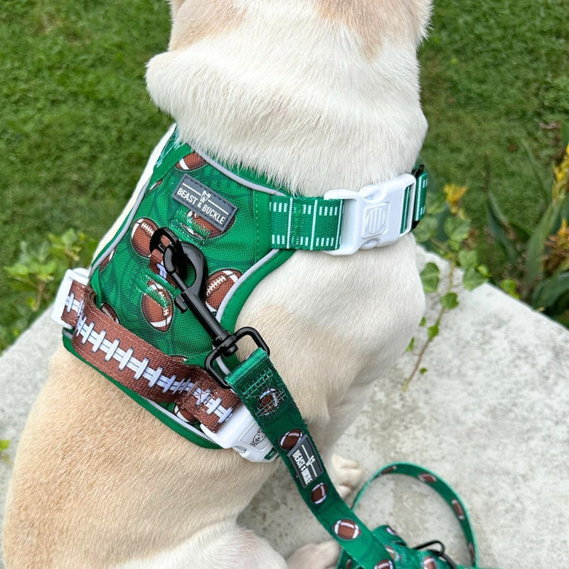 Touchdown No Pull Dog Harness - Beast & Buckle