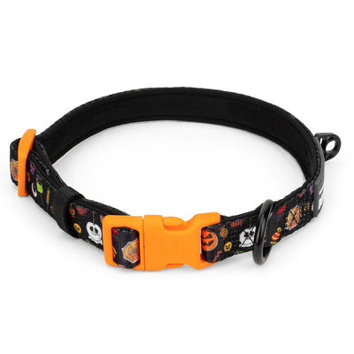 Trick or Treat Dog Collar - Beast & Buckle