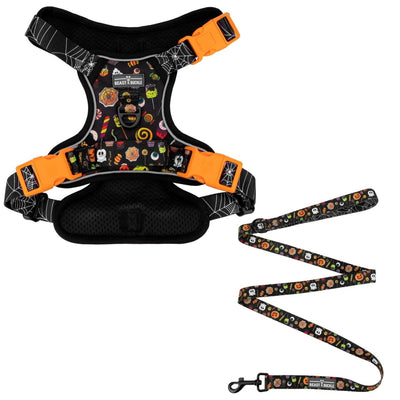 Trick or Treat No Pull Harness & Leash Bundle - Beast & Buckle