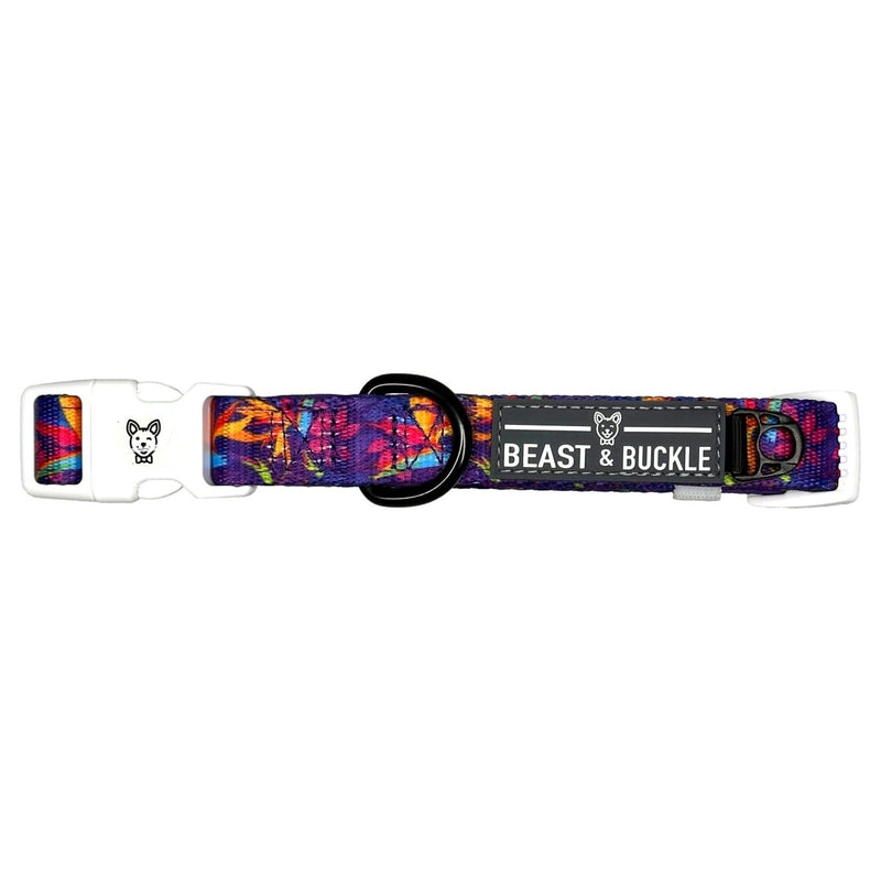 Tropical Dog Collar - Beast & Buckle