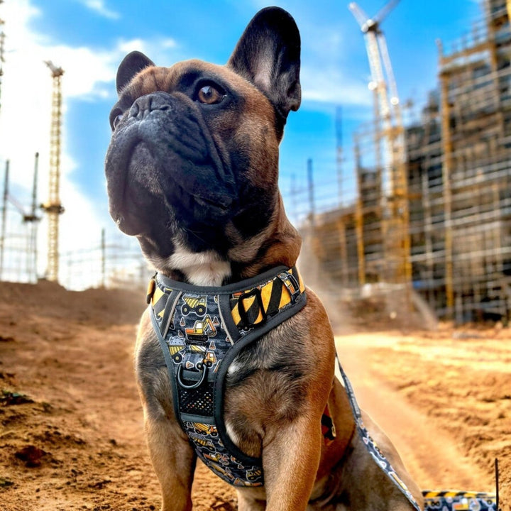 Under Construction No Pull Dog Harness - CLEARANCE – Beast & Buckle