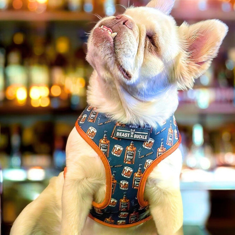 Whiskey Reversible Dog Harness 2.0 - Beast & Buckle