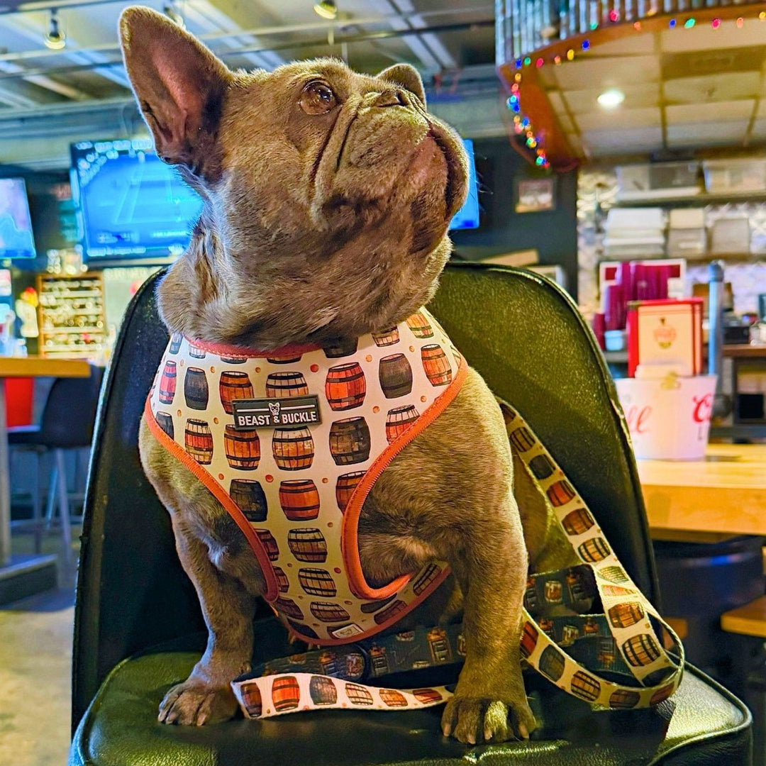 Whiskey Reversible Dog Harness – Beast & Buckle