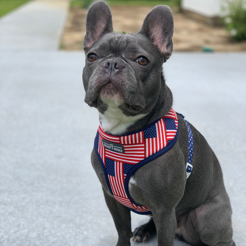 American Flag Harness and Leash Set