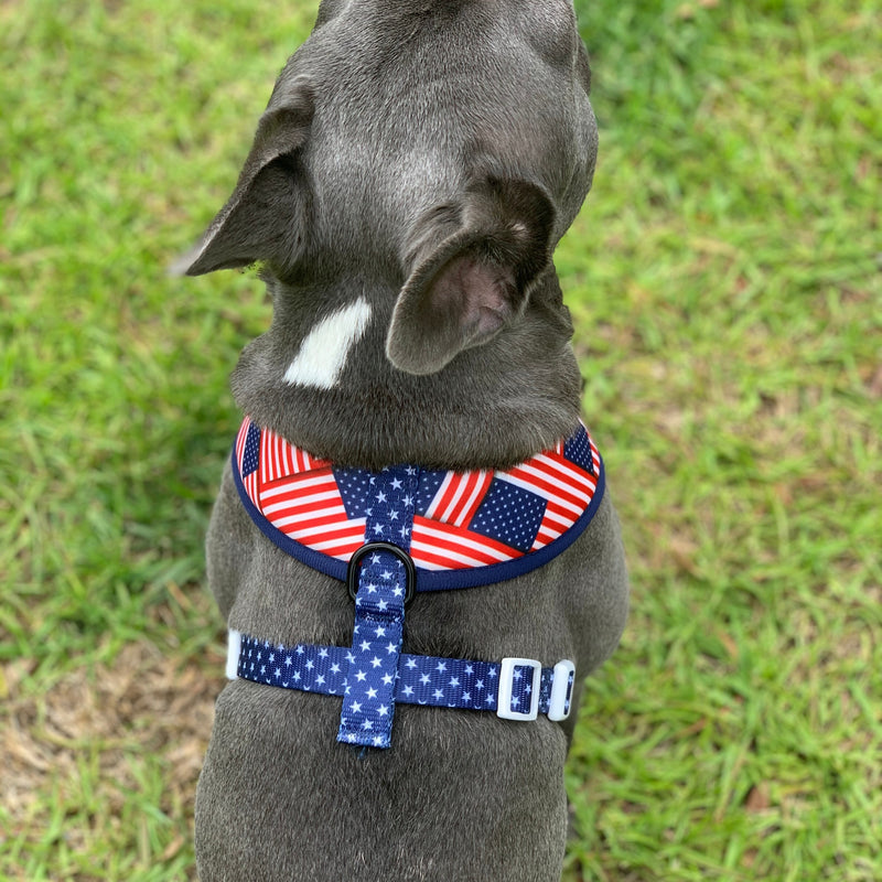 American Flag Harness and Leash Set