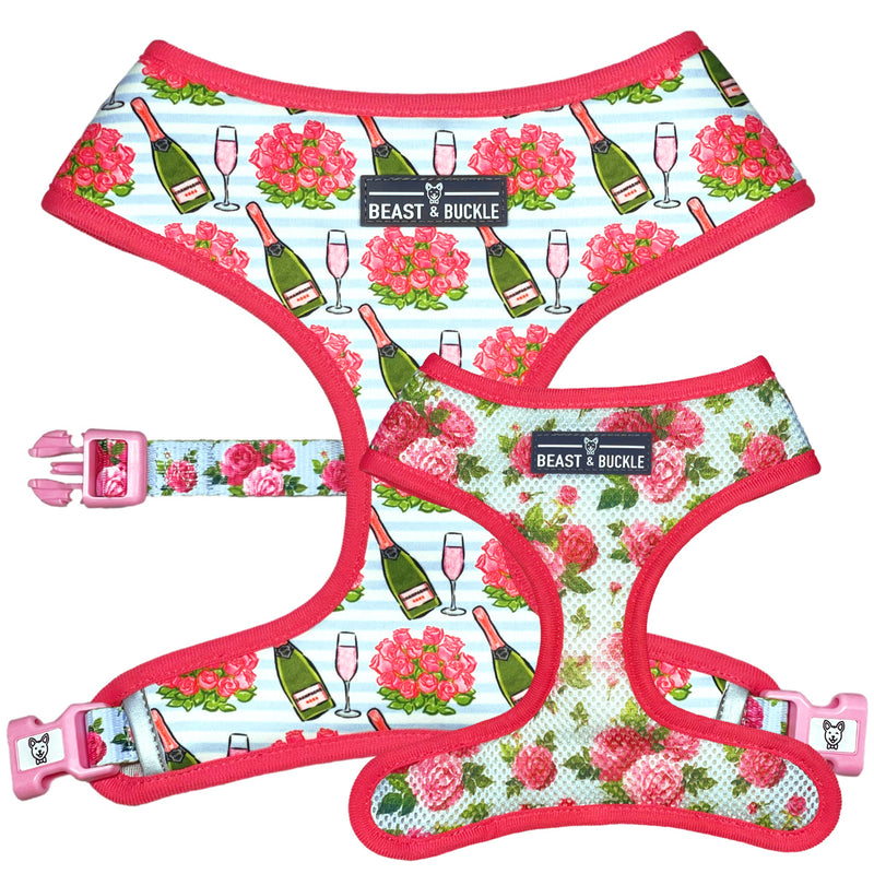 Rosé and Roses Reversible Dog Harness
