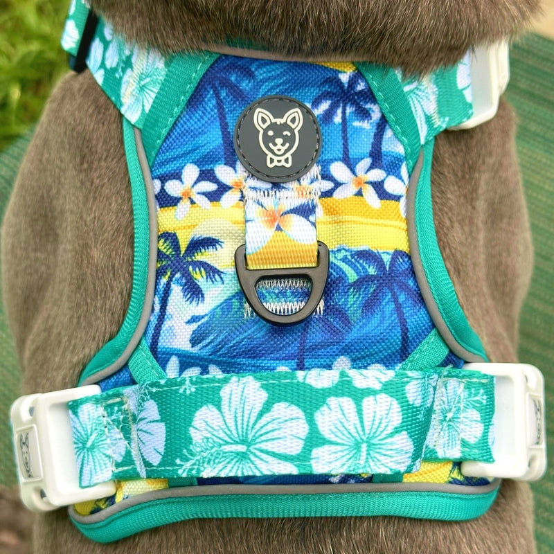Aloha No Pull Dog Harness - Beast & Buckle