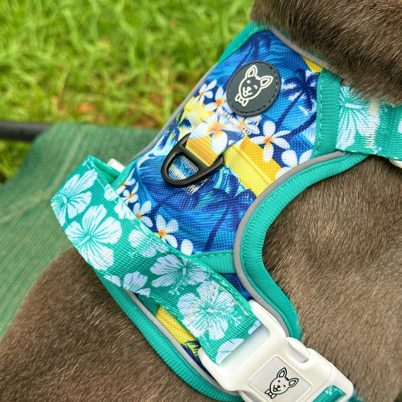 Aloha No Pull Dog Harness - Beast & Buckle