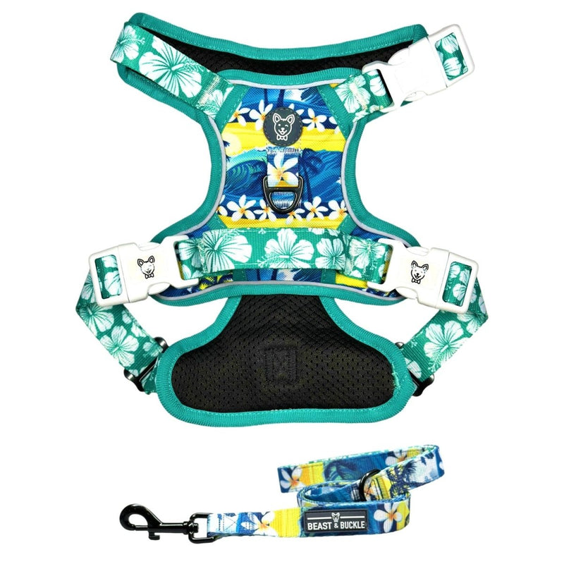 Aloha No Pull Harness Bundle - Beast & Buckle