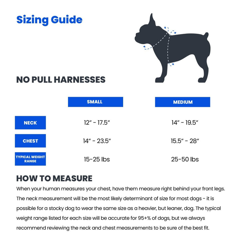 Blue Gingham No Pull Dog Harness - Beast & Buckle