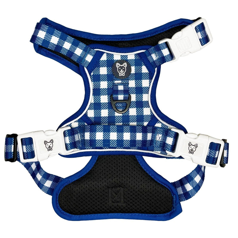 Blue Gingham No Pull Dog Harness - Beast & Buckle