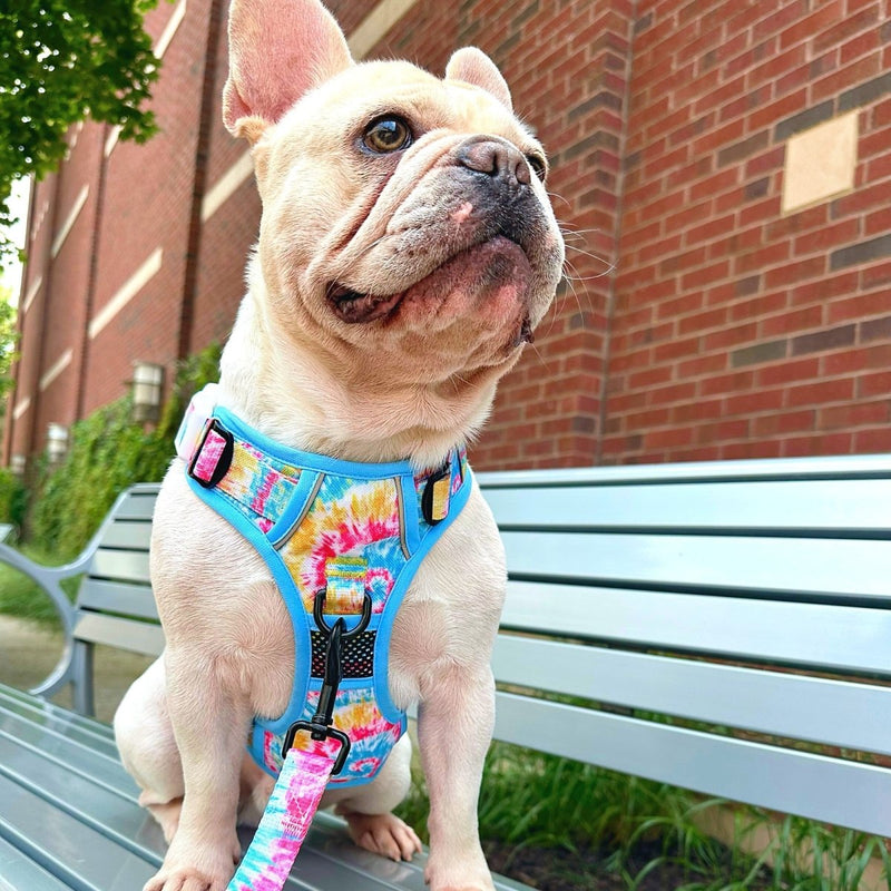 Breezy Tie Dye No Pull Harness Bundle - Beast & Buckle