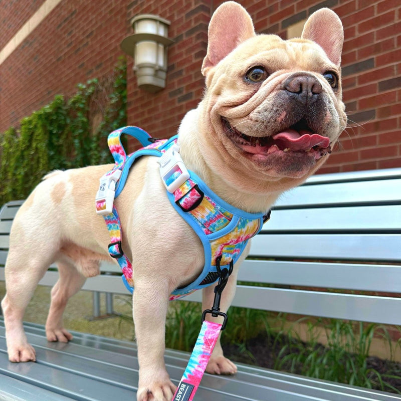 Breezy Tie Dye No Pull Harness Bundle - Beast & Buckle