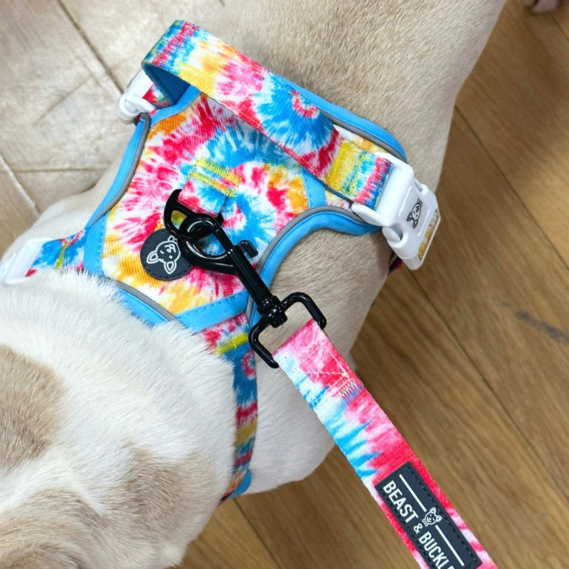 Breezy Tie Dye No Pull Harness Bundle - Beast & Buckle