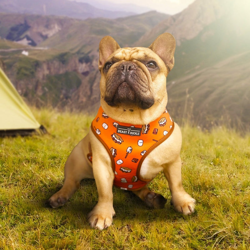 Camping Reversible Dog Harness - Beast & Buckle