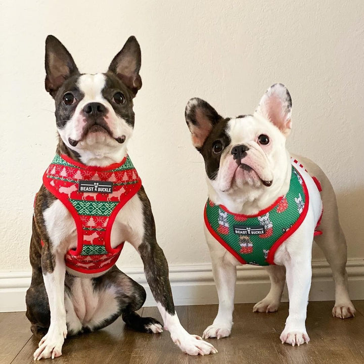 Holiday dog harness best sale