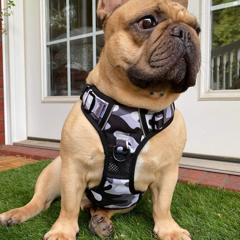 Cool Camo No Pull Dog Harness - Beast & Buckle