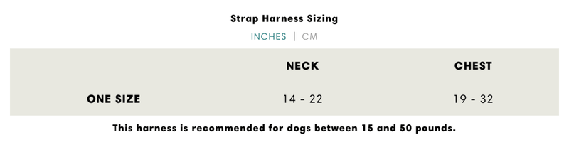 Cow Print Strap Harness - Beast & Buckle