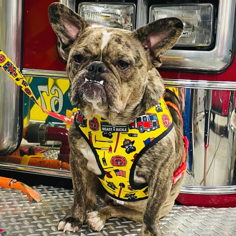 Firefighter Harness & Leash Set - Beast & Buckle