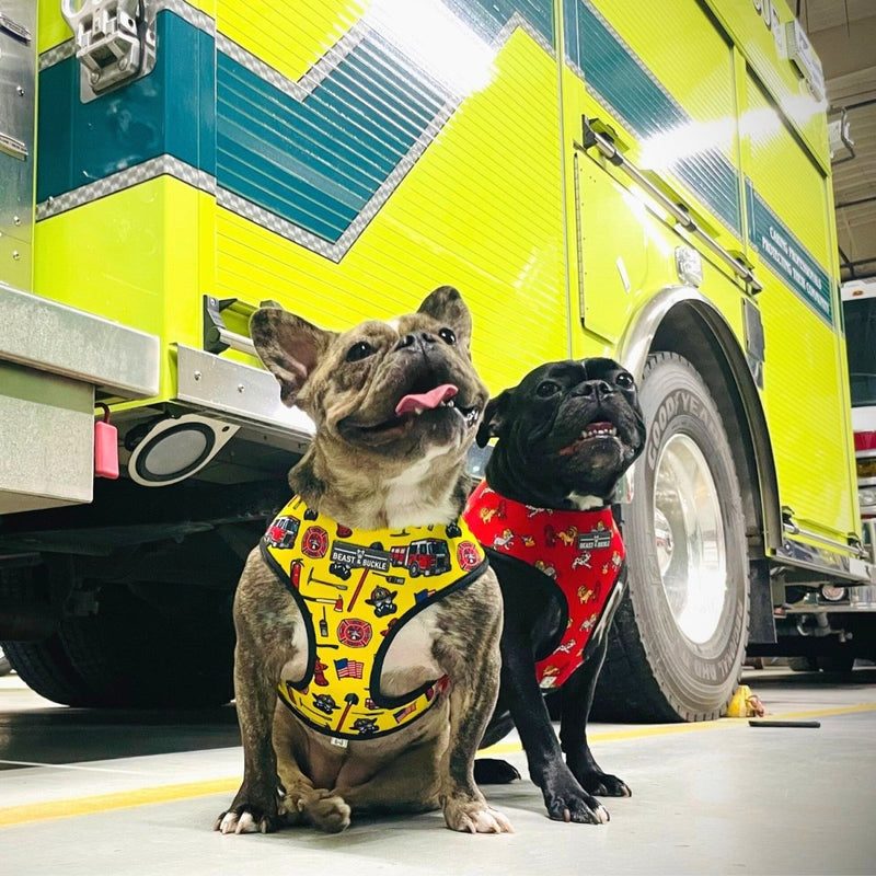 Firefighter Reversible Dog Harness 2.0 - Beast & Buckle