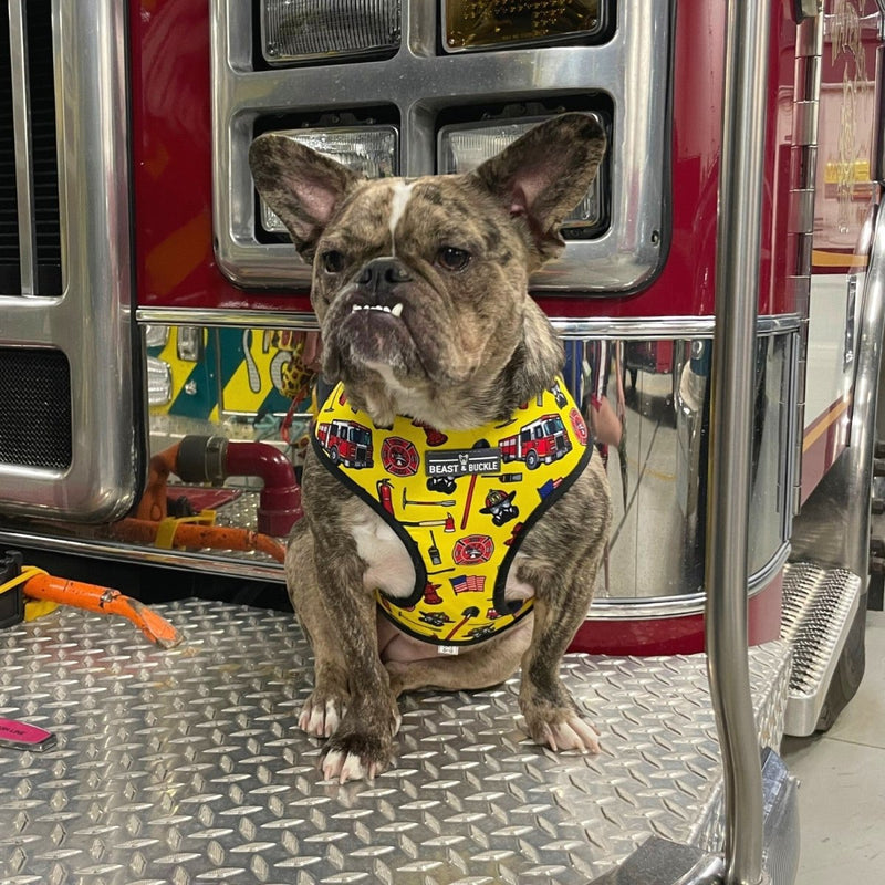 Firefighter Reversible Dog Harness 2.0 - Beast & Buckle