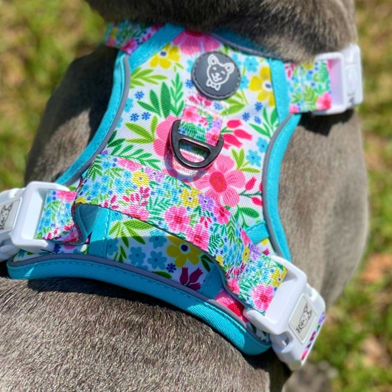 Floral No Pull Dog Harness - Beast & Buckle