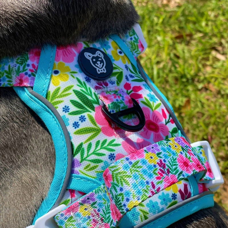 Floral No Pull Dog Harness - Beast & Buckle