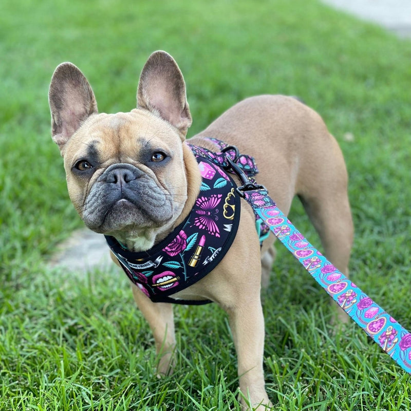 Girly Tattoo Reversible Dog Harness 2.0 - Beast & Buckle
