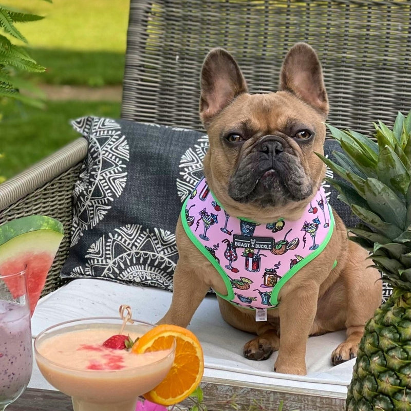 Happy Hour Walking Bundle - Beast & Buckle