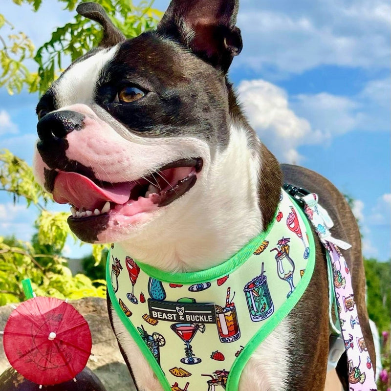 Happy Hour Walking Bundle - Beast & Buckle
