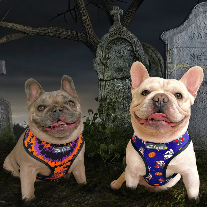 Howl-oween Harness & Leash Set - Beast & Buckle