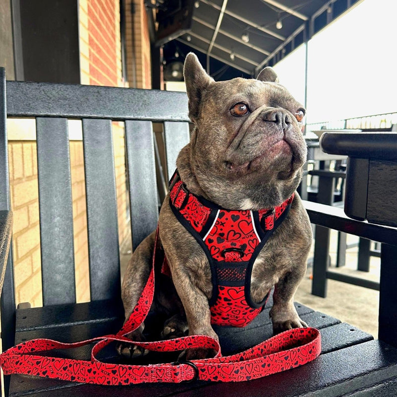 Hugs and Kisses No Pull Dog Harness - Beast & Buckle