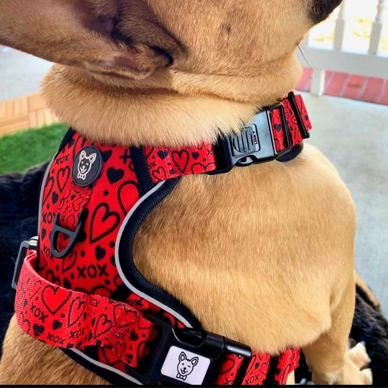 Hugs and Kisses No Pull Dog Harness - Beast & Buckle