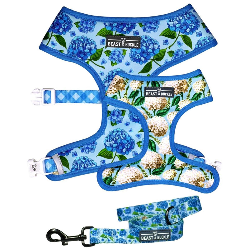 Hydrangea Harness & Leash Set - Beast & Buckle