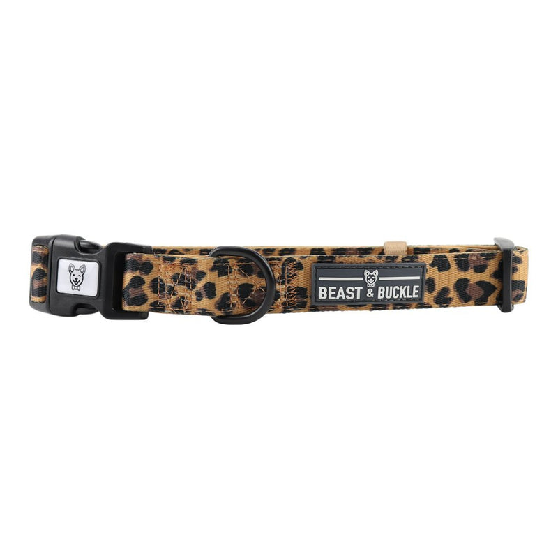 Leopard Dog Collar - Beast & Buckle
