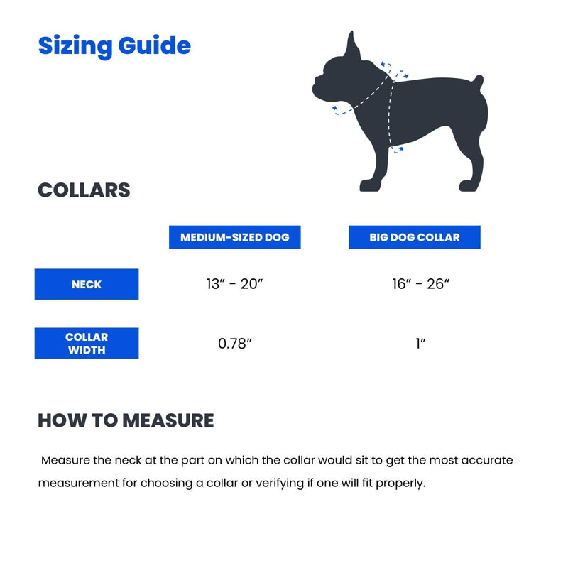 Lumberjill Plaid Dog Collar - Beast & Buckle