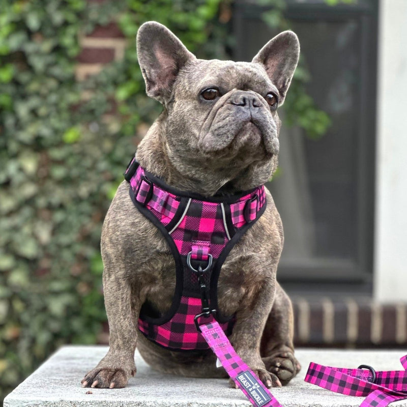 Lumberjill Plaid No Pull Dog Harness - Beast & Buckle