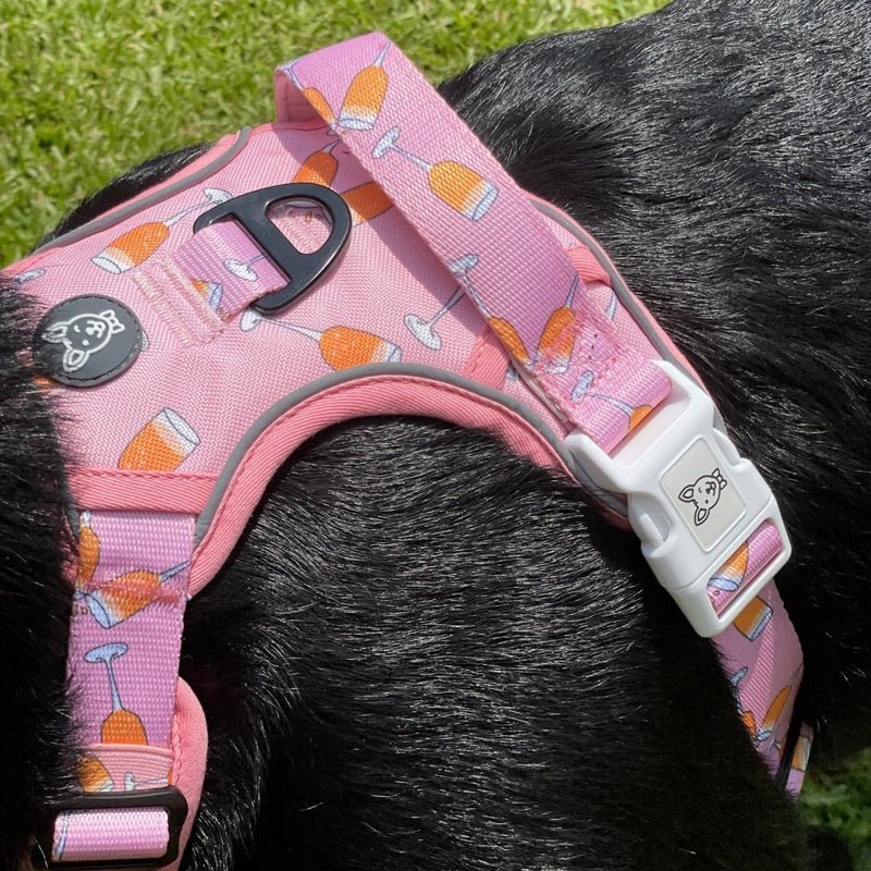 Mimosas Big Dog Harness Bundle - Beast & Buckle