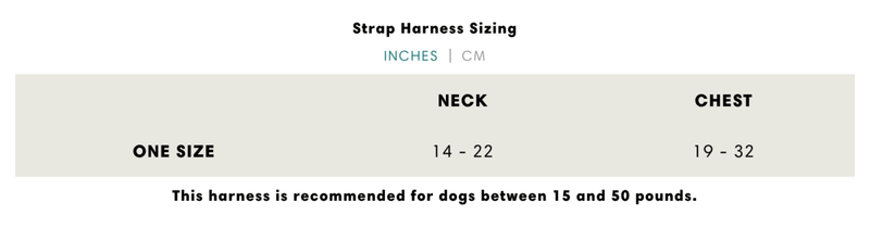 Monstera Strap Harness - Beast & Buckle