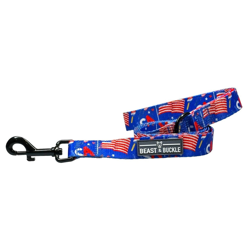 Pawty in the USA Dog Leash - Beast & Buckle