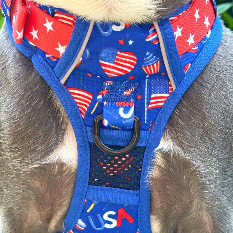 Pawty in the USA No Pull Dog Harness - Beast & Buckle