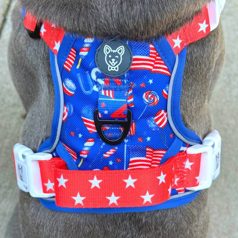 Pawty in the USA No Pull Harness Bundle - Beast & Buckle