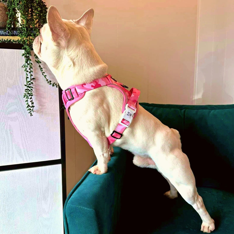 Pink Camo No Pull Dog Harness - Beast & Buckle