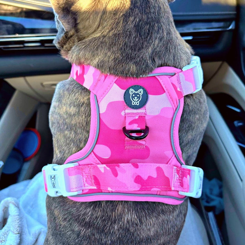 Pink Camo No Pull Harness Bundle - Beast & Buckle
