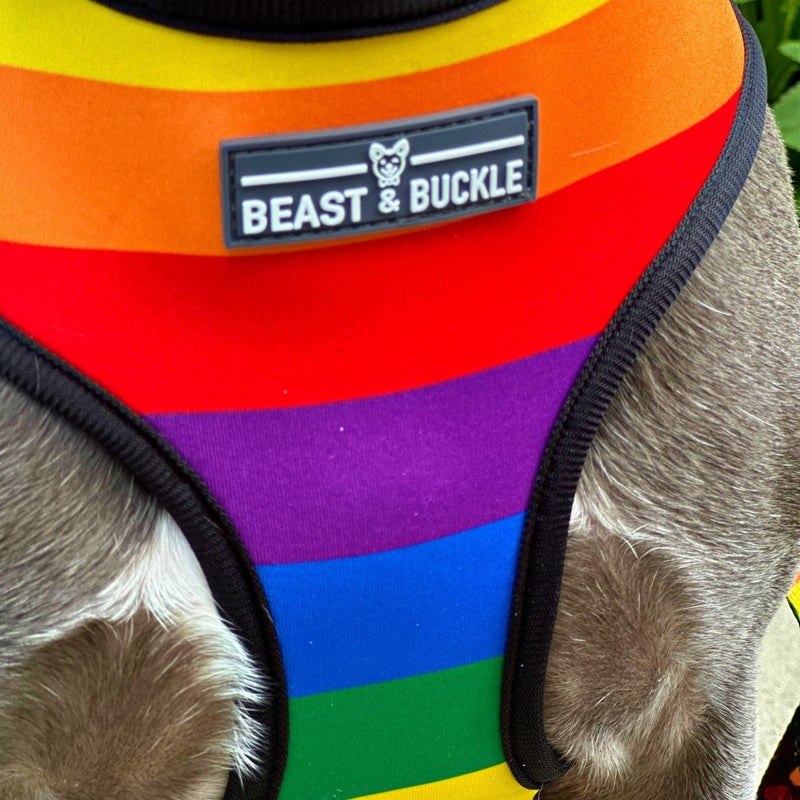 Pride Harness & Leash Set - Beast & Buckle