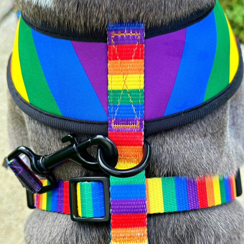 Pride Reversible Dog Harness 2.0 - Beast & Buckle