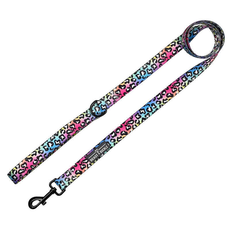 Rainbow Leopard Dog Leash - Beast & Buckle