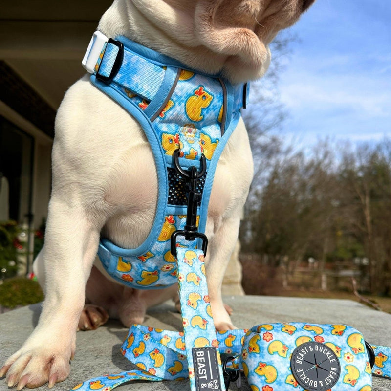Rubber Ducky No Pull Dog Harness - Beast & Buckle