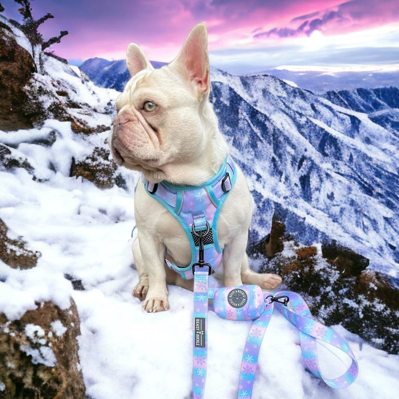 Snow Queen No Pull Dog Harness - Beast & Buckle