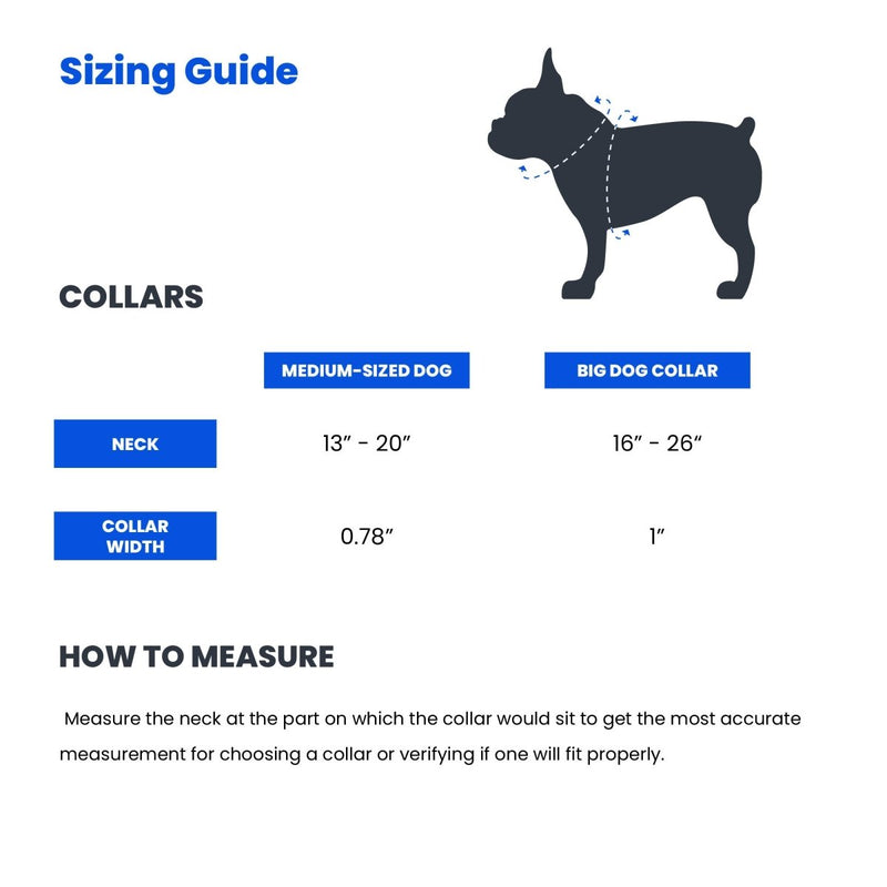Squiggles Dog Collar - Beast & Buckle